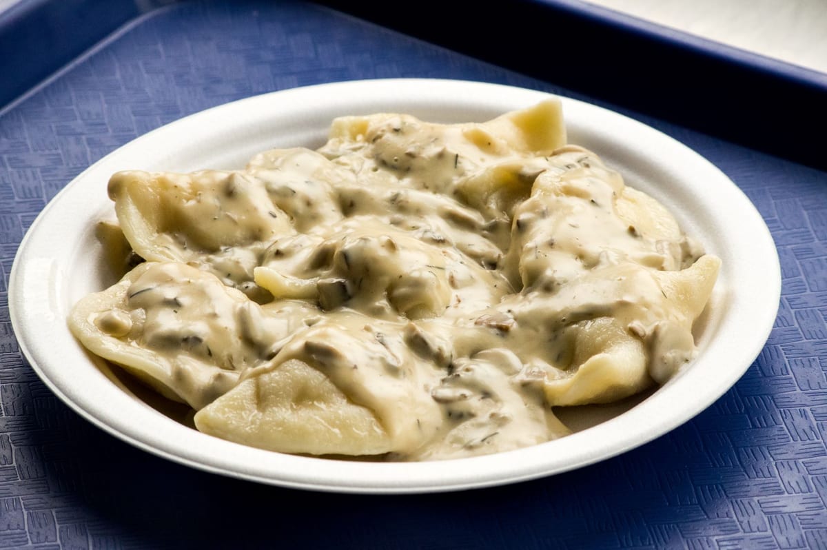 Perogies covered in mushroom dill sauce on a white plate